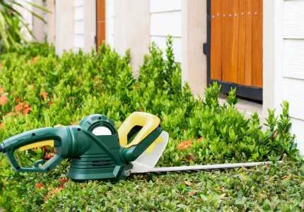 évacuation des déchets verts